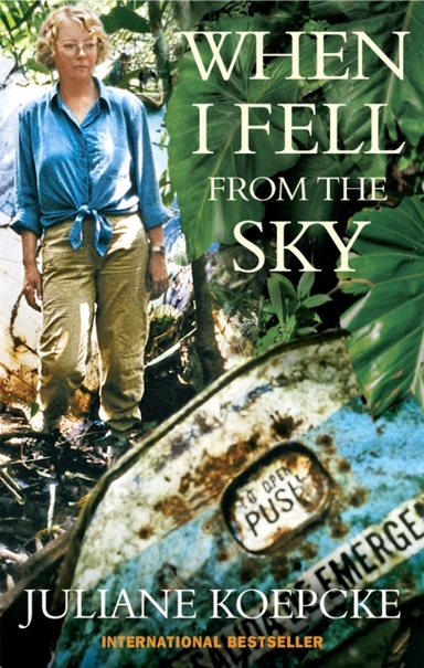 When I Fell From The Skythe True Story Of One Woman's Miracu