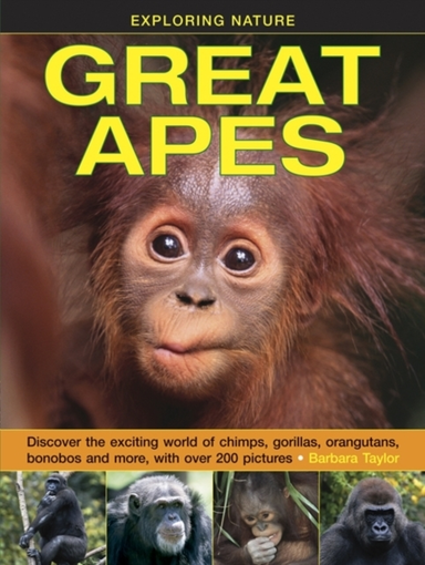 Exploring Nature Great Apes