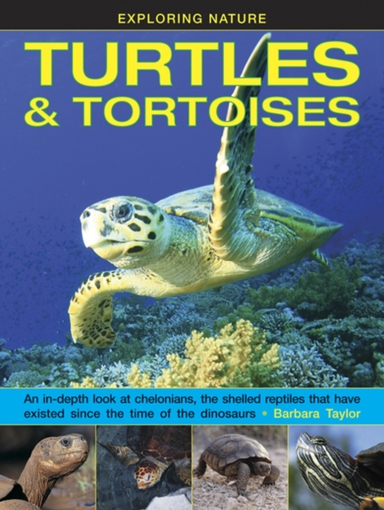 Exploring Nature Turtles & Tortoises