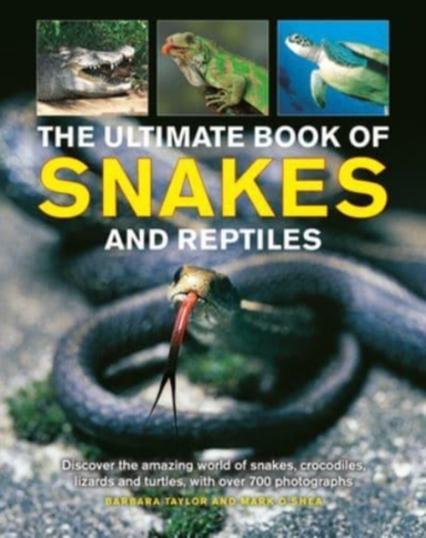 Snakes And Reptiles Ultimate Book Ofdiscover The Amazing Wo