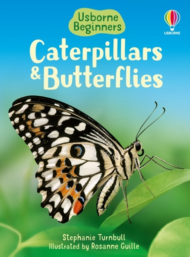 Caterpillars And Butterflies