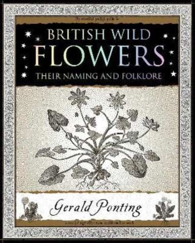 British Wild Flowerstheir Naming And Folklore