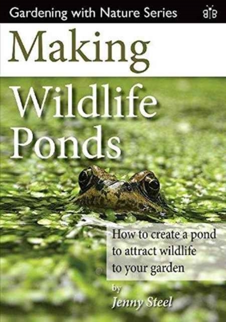 Billede af Making Wildlife Pondshow To Create A Pond To Attract Wildlif