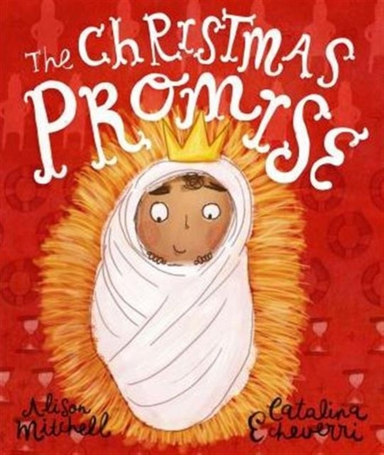 The Christmas Promise Storybooka True Story From The Bible A