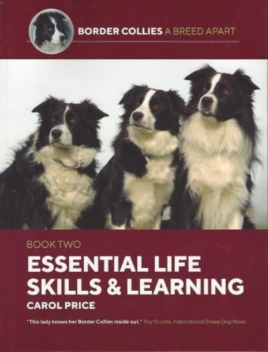 Life Skills And Learning