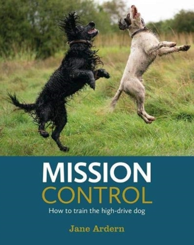 Mission Controlhow To Train The High-Drive Dog
