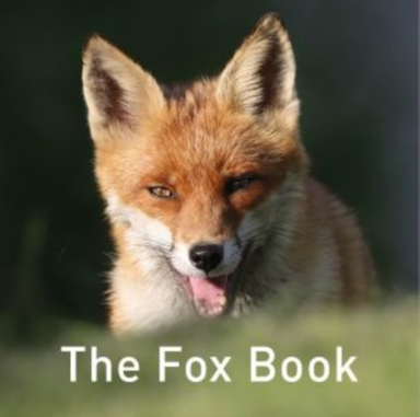 Nature Book Series The The Fox Book