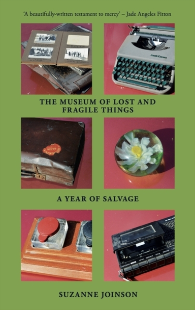 The Museum Of Lost And Fragile Thingsa Year Of Salvage