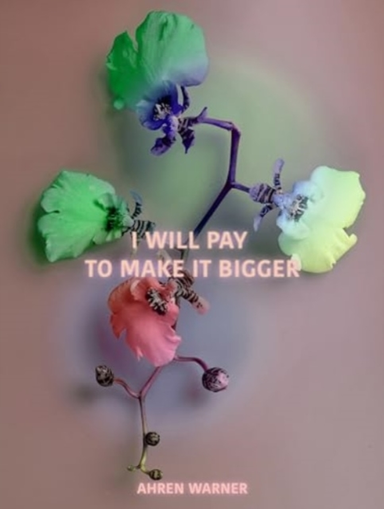 I Will Pay To Make It Bigger