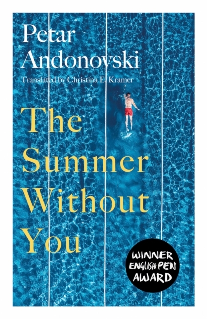 Billede af The Summer Without You