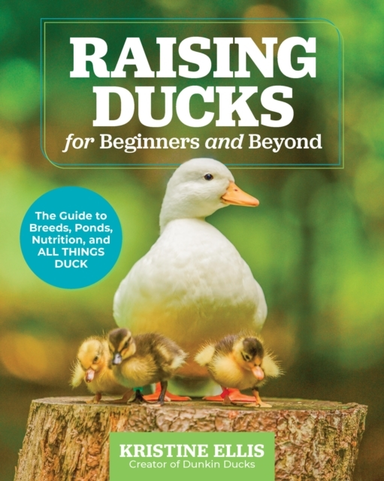 Raising Ducks For Beginners And Beyond The Guide To Breeds,