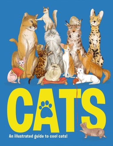 Catsan Illustrated Guide To 80 Cool Cats From Impressive Wi