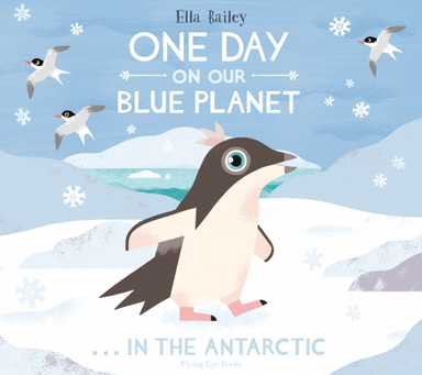 One Day On Our Blue Planet In The Antarctic