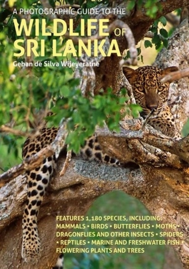 A Photographic Guide To The Wildlife Of Sri Lanka