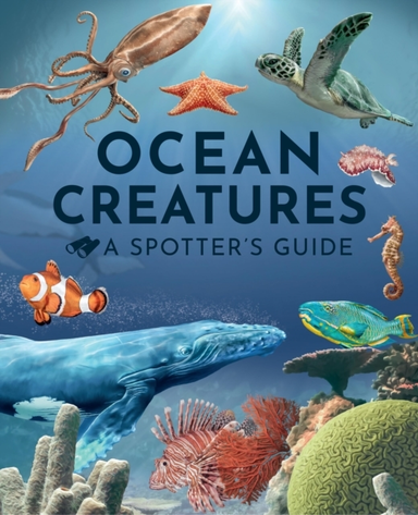 Ocean Creatures A Spotter's Guide