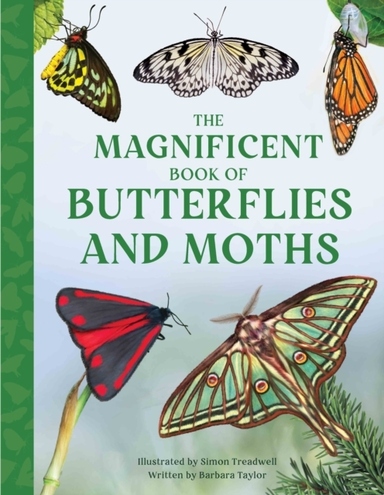 The Magnificent Book Of Butterflies And Moths