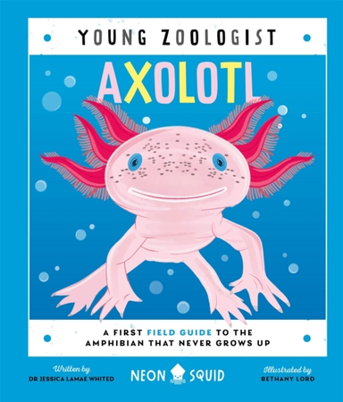 Axolotl Young Zoologista First Field Guide To The Amphibian