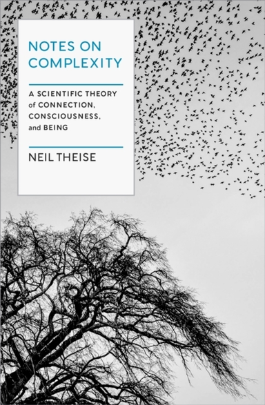 Notes On Complexitylife Consciousness And Meaning In A Sel