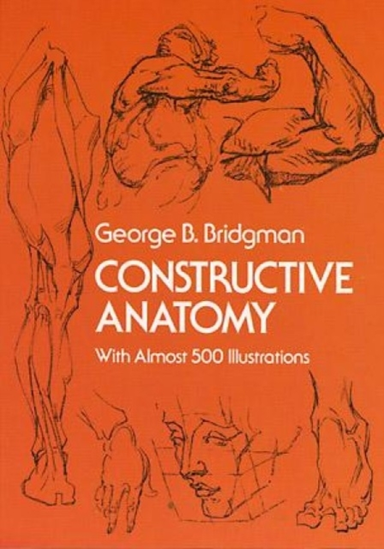 Constructive Anatomy With Almost 500 Illustrations