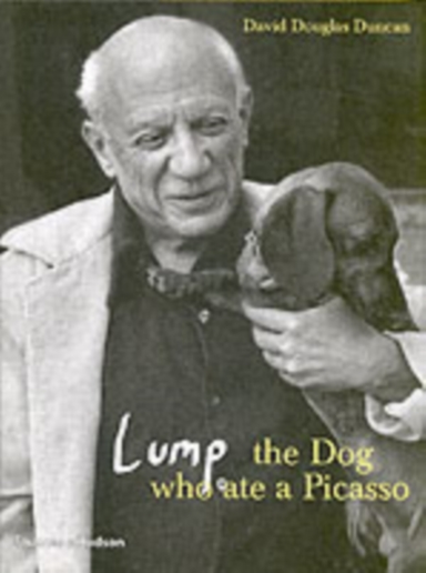 Lump The Dog Who Ate A Picasso
