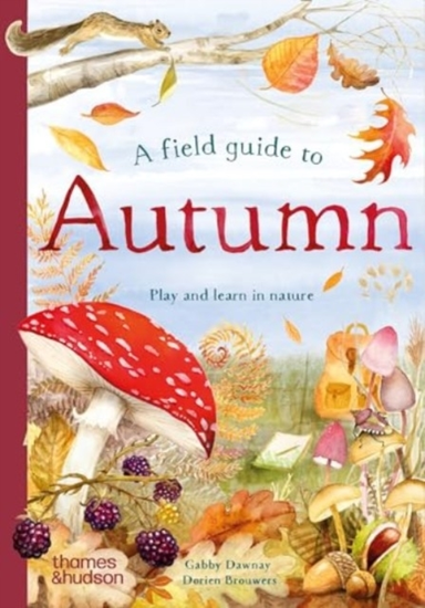 A Field Guide To Autumnplay And Learn In Nature