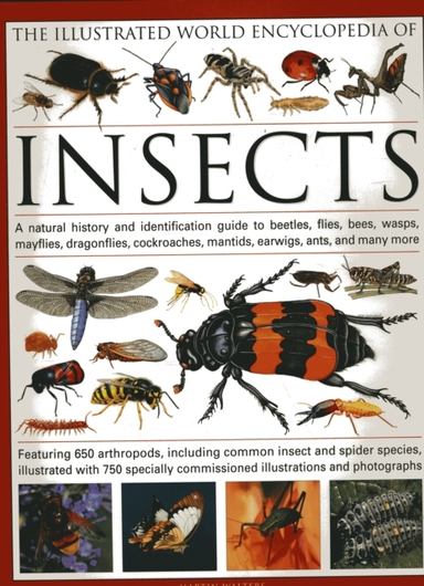 The Illustrated World Encyclopaedia Of Insects A Natural His