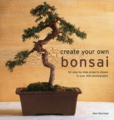 Create Your Own Bonsai