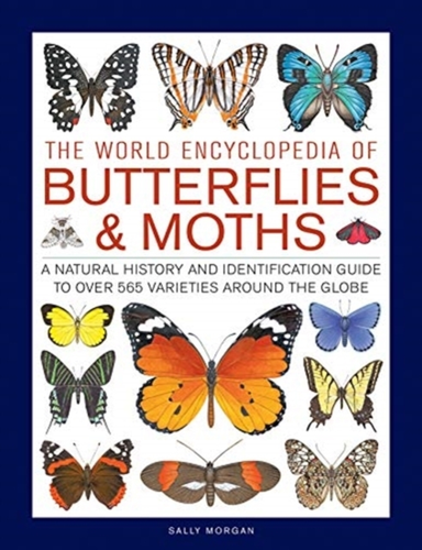 Butterflies & Moths, The World Encyclopedia Of A Natural His