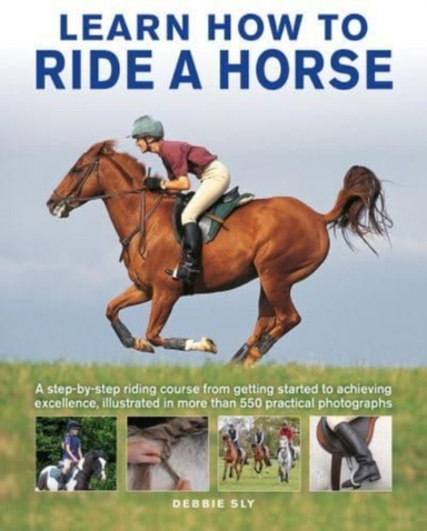 Learn How To Ride A Horse A Step-By-Step Riding Course From