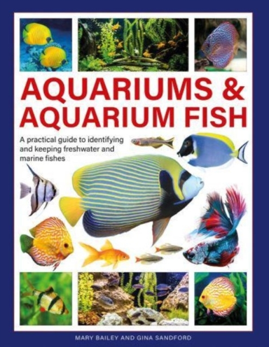 Aquariums & Aquarium Fish A Practical Guide To Identifying A