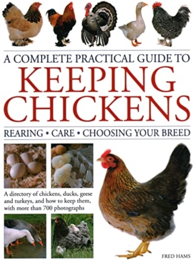 Keeping Chickens, Complete Practical Guide To Rearing; Care;