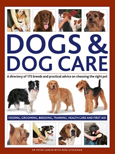 Dogs & Dog Care A Directory Of 175 Breeds And Practical Advi