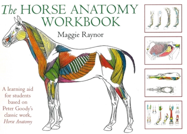 Horse Anatomy Workbook A Learning Aid For Students Based On