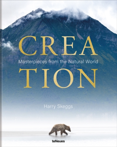 Creationmasterpieces From The Natural World