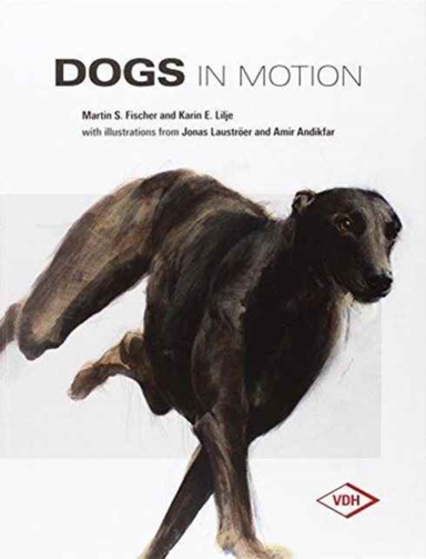 Dogs In Motion