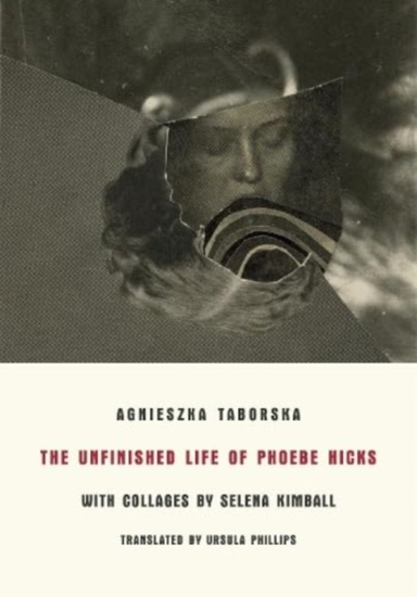 The Unfinished Life Of Phoebe Hicks