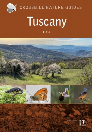 Tuscanyitaly