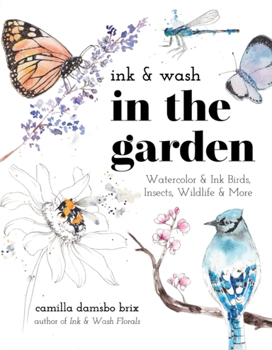 Ink & Wash In The Gardenwatercolor & Ink Birds Insects Wil