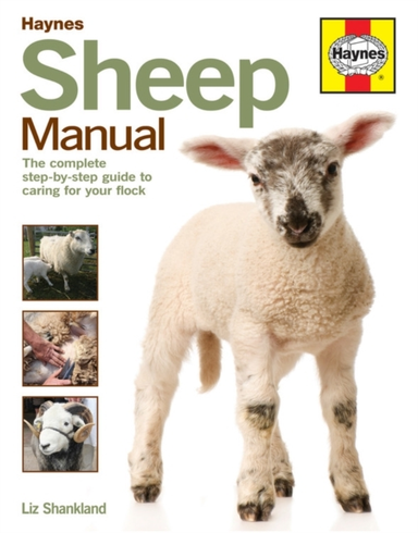 Sheep Manual The Complete Step-By-Step Guide To Caring For Y