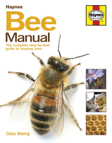 Bee Manual The Complete Step-By-Step Guide To Keeping Bees