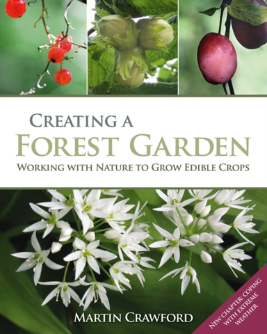 Creating A Forest Garden Working With Nature To Grow Edible