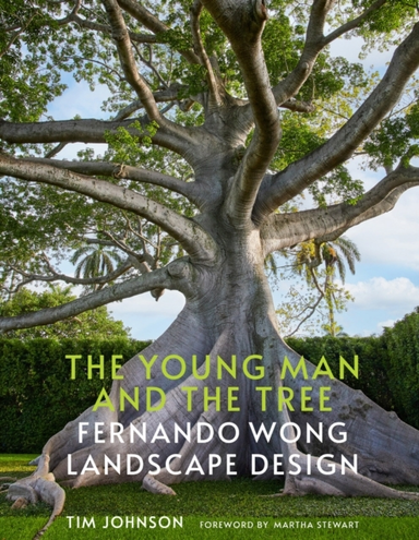 The Young Man And The Tree Fernando Wong Landscape Design