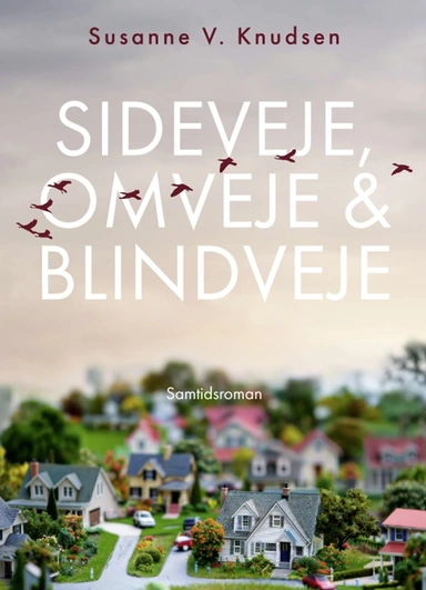 Sideveje, omveje & blindveje