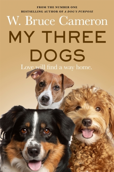 My Three Dogs A Heartwarming Tale About Friendship, Family A