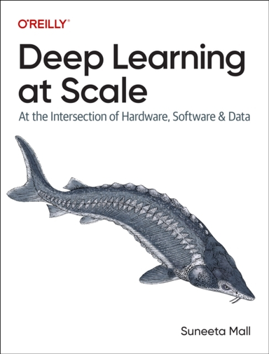 Deep Learning At Scale At The Intersection Of Hardware, Soft