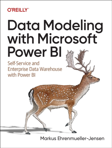 Data Modeling With Microsoft Power Bi Self-Service And Enter