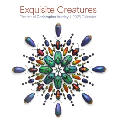 Exquisite Creatures The Art Of Christopher Marley 2025 Wall