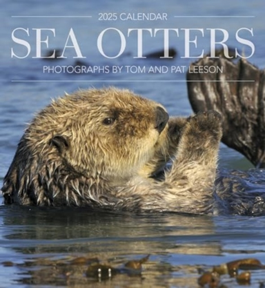 Sea Otters Photographs By Tom And Pat Leeson 2025 Wall Calen