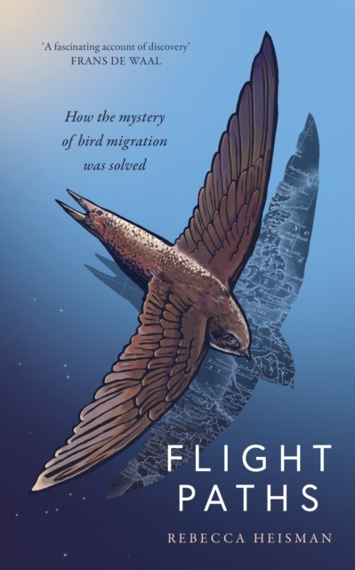 Billede af Flight Pathshow The Mystery of Bird Migration Was Solved