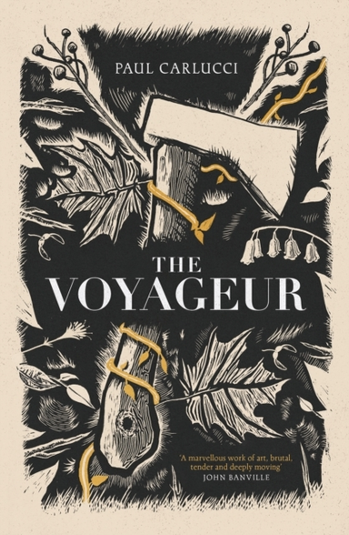 The Voyageur'Marvellous Work Of Art' John Banville